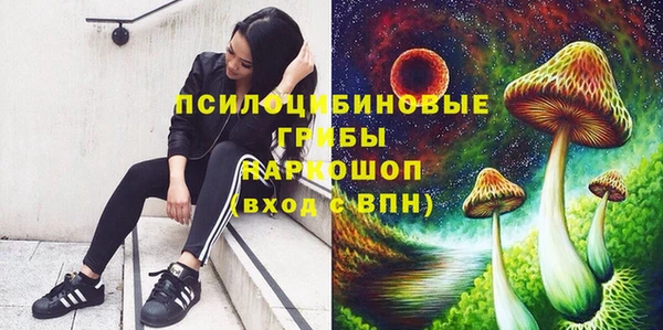 spice Каменка