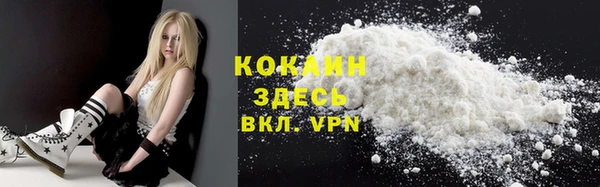 гашик Каменногорск