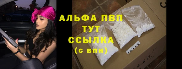 гашик Каменногорск