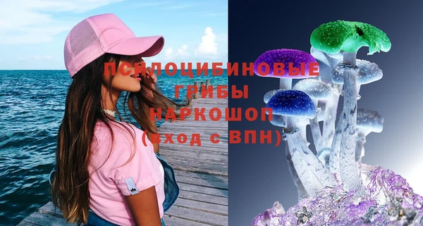 spice Каменка