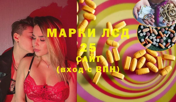 spice Каменка