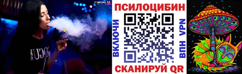Купить  Каменск-Шахтинский  Галлюциногенные грибы Psilocybe 